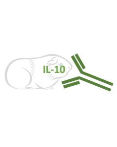 Rabbit Monoclonal Antibody Anti-Guinea Pig IL-10 (Clone RA0071)
